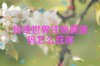 传奇世界注册邀请码怎么获得