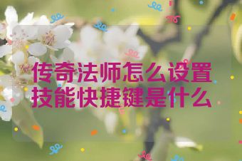 传奇法师怎么设置技能快捷键是什么