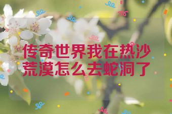 传奇世界我在热沙荒漠怎么去蛇洞了