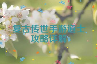 复古传世手游道士攻略详解