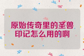 原始传奇里的圣兽印记怎么用的啊