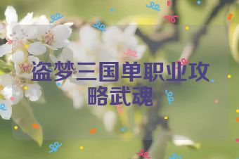 盗梦三国单职业攻略武魂