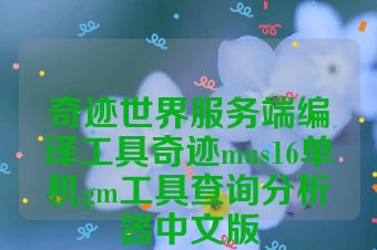 奇迹世界服务端编译工具奇迹mus16单机gm工具查询分析器中文版