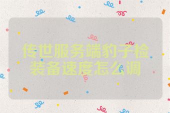 传世服务端豹子检装备速度怎么调