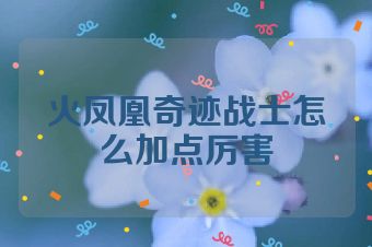 火凤凰奇迹战士怎么加点厉害