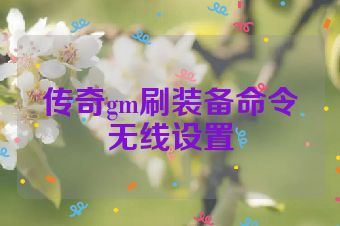 传奇gm刷装备命令无线设置