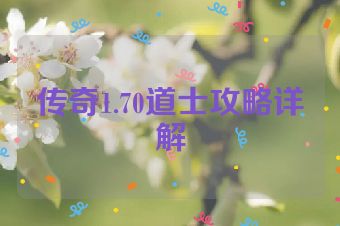 传奇1.70道士攻略详解