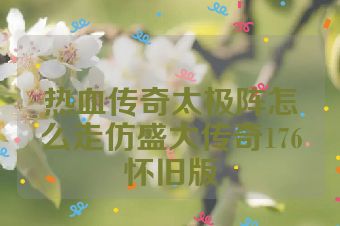 热血传奇太极阵怎么走仿盛大传奇176怀旧版