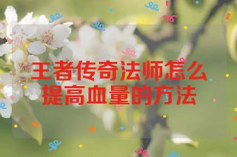 王者传奇法师怎么提高血量的方法