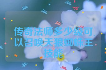 传奇法师多少级可以召唤天狼蜘蛛王技能