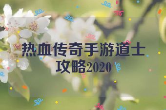 热血传奇手游道士攻略2020