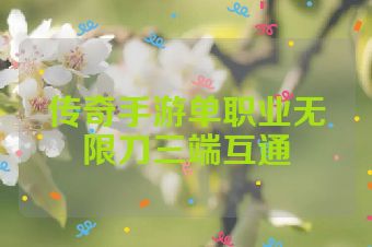传奇手游单职业无限刀三端互通