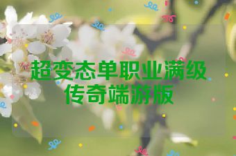 超变态单职业满级传奇端游版