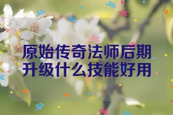 原始传奇法师后期升级什么技能好用