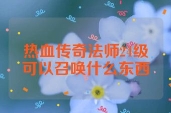 热血传奇法师24级可以召唤什么东西