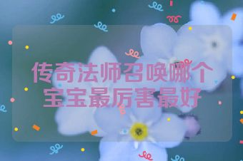 传奇法师召唤哪个宝宝最厉害最好