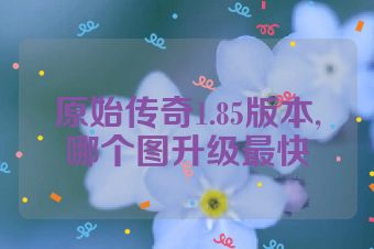 原始传奇1.85版本,哪个图升级最快