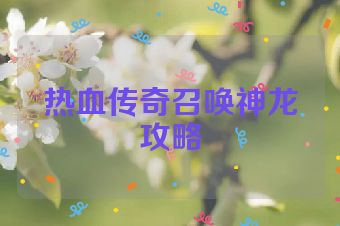 热血传奇召唤神龙攻略