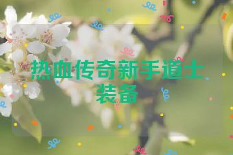 热血传奇新手道士装备