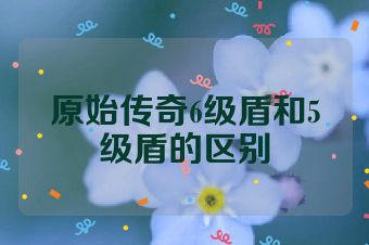 原始传奇6级盾和5级盾的区别