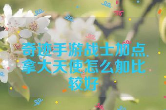 奇迹手游战士加点拿大天使怎么加比较好