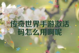 传奇世界手游激活码怎么用啊呢