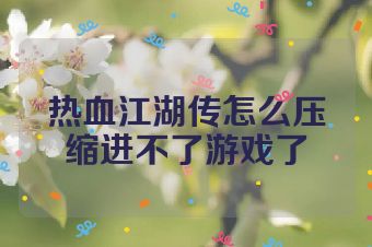 热血江湖传怎么压缩进不了游戏了