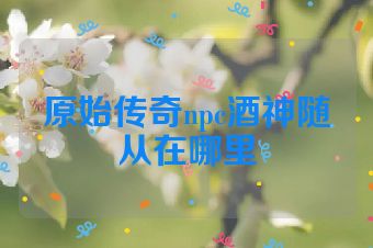 原始传奇npc酒神随从在哪里