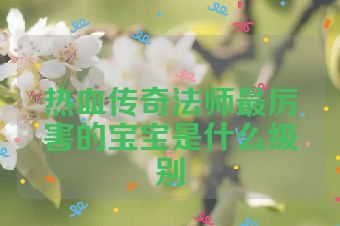 热血传奇法师最厉害的宝宝是什么级别