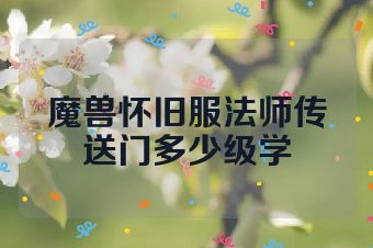 魔兽怀旧服法师传送门多少级学