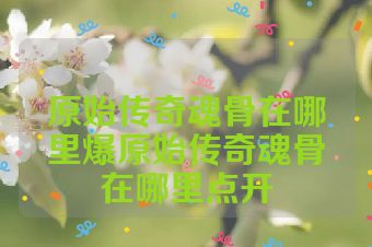 原始传奇魂骨在哪里爆原始传奇魂骨在哪里点开