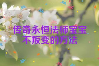传奇永恒法师宝宝不叛变的方法