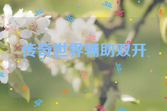 传奇世界辅助双开