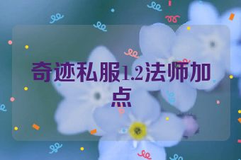 奇迹私服1.2法师加点