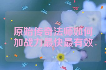 原始传奇法师如何加战力最快最有效