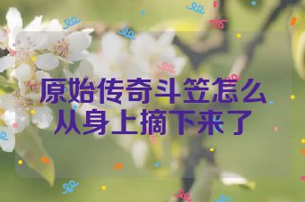 原始传奇斗笠怎么从身上摘下来了