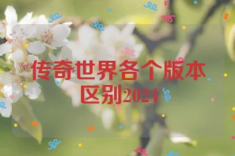 传奇世界各个版本区别2024