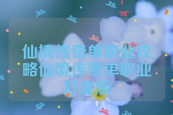 仙境传奇单职业攻略仙境传奇单职业打金版