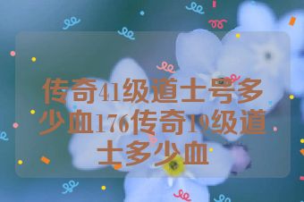 传奇41级道士号多少血176传奇19级道士多少血