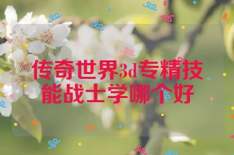 传奇世界3d专精技能战士学哪个好