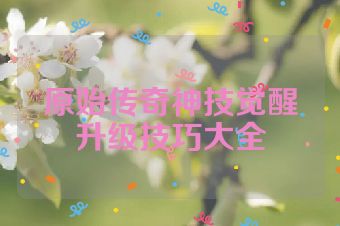 原始传奇神技觉醒升级技巧大全