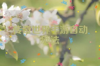 传奇世界手游自动施法