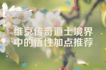 维京传奇道士境界中的悟性加点推荐