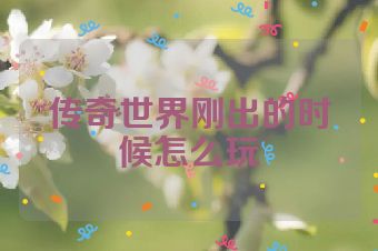 传奇世界刚出的时候怎么玩