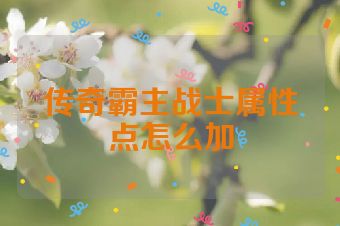 传奇霸主战士属性点怎么加