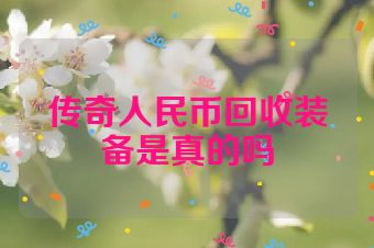传奇人民币回收装备是真的吗