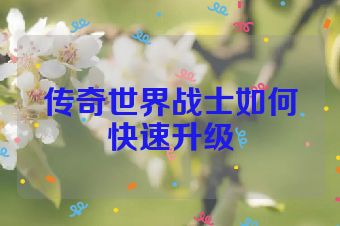 传奇世界战士如何快速升级