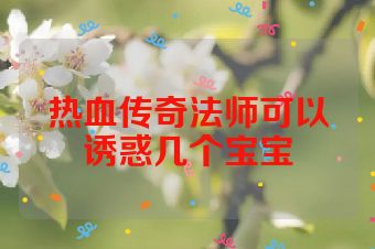 热血传奇法师可以诱惑几个宝宝