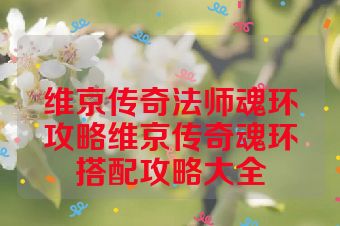 维京传奇法师魂环攻略维京传奇魂环搭配攻略大全