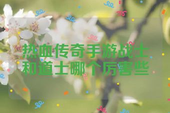 热血传奇手游战士和道士哪个厉害些